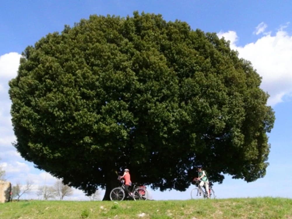 Chianti in e-bike chianti-in-e-bike