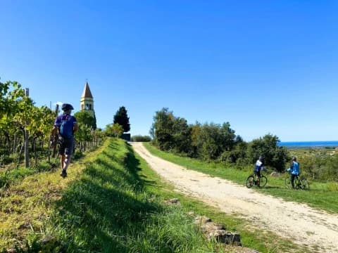 In bici lungo la Strada del Vino dell'Istria in-bici-lungo-la-strada-del-vino-dell-istria