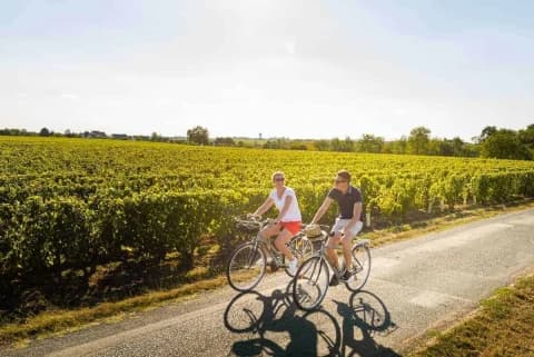 Among the Vineyards of the Loire Valley among-the-vineyards-of-the-loire-valley