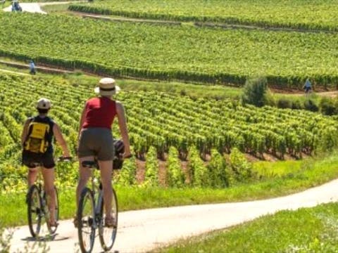 discovering-beaujolais-by-bike
