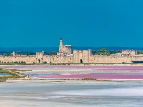 languedoc-and-camargue-by-bike