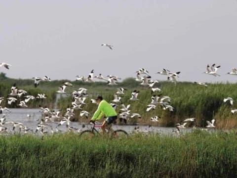 Po Delta Park Cycling Tour po-delta-park-cycling-tour
