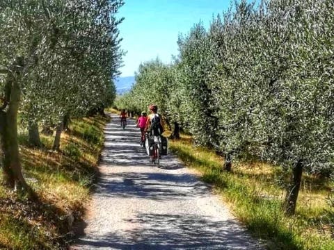 cycling-in-umbria-from-assisi-to-spoleto-in-5-days