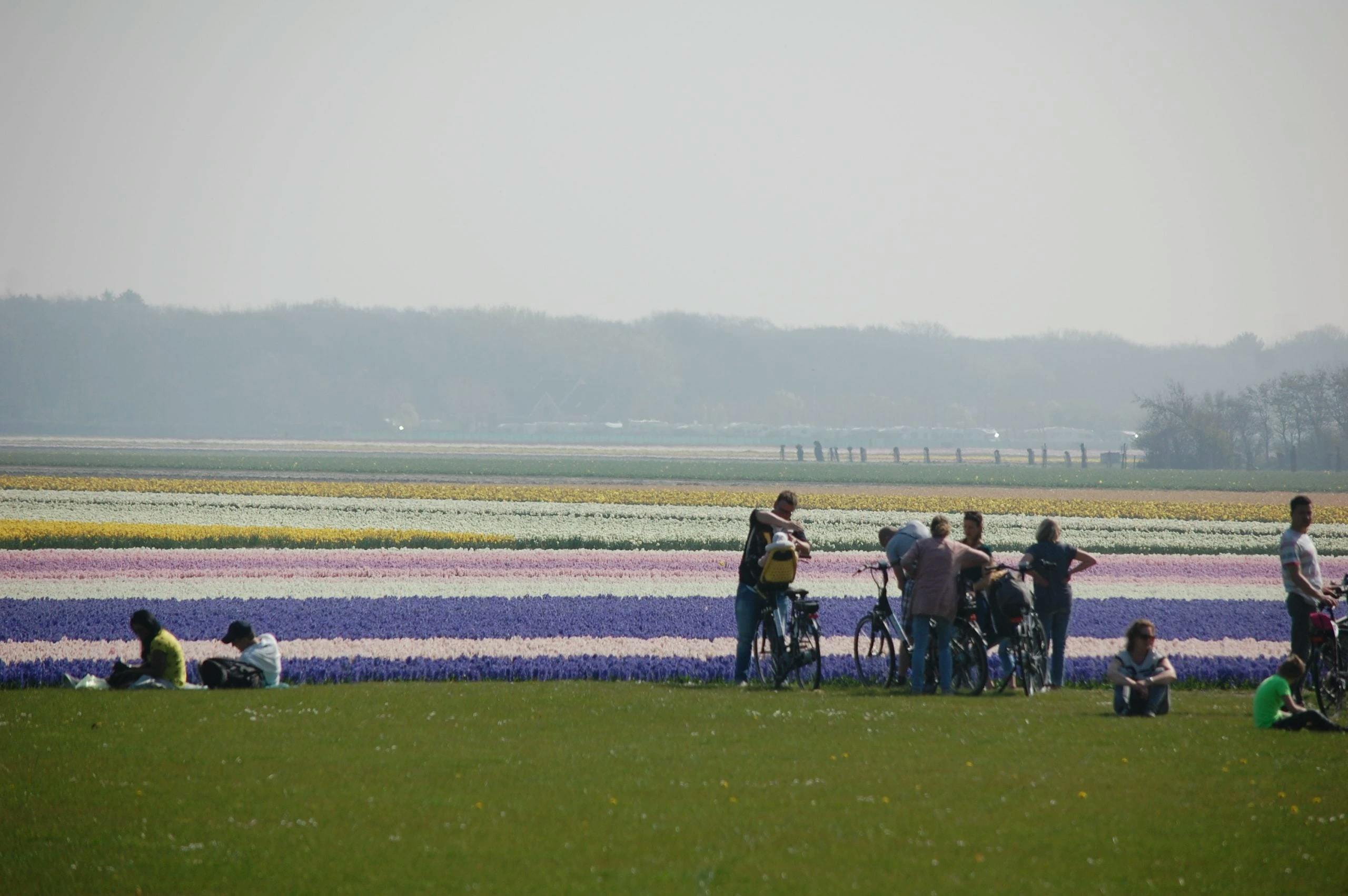 in-bici-tra-i-campi-di-tulipani