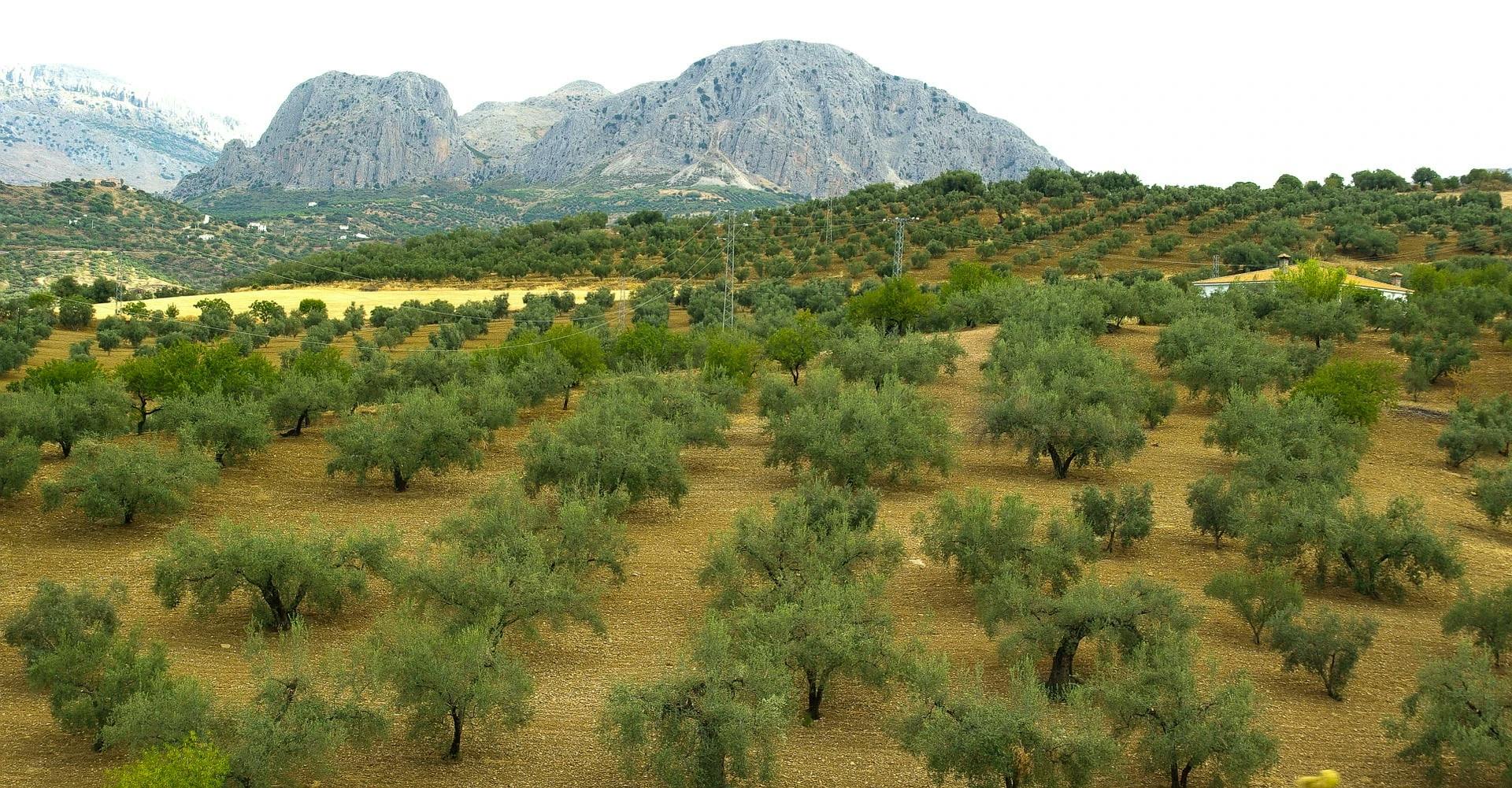 landalusia-da-siviglia-a-cadice