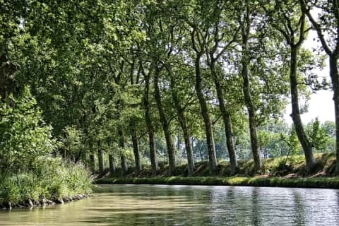 Il Canal du Midi canal-du-midi