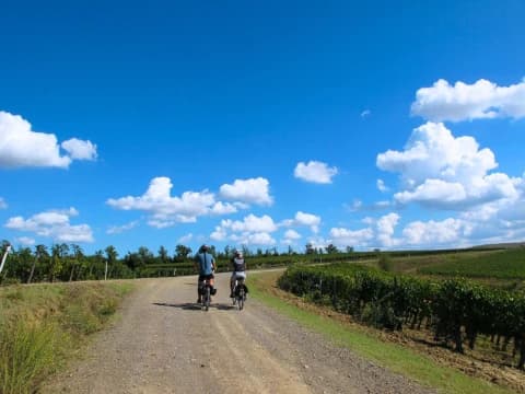 La Via Francigena in bici da Siena a Roma la-via-francigena-in-bici-da-siena-a-roma