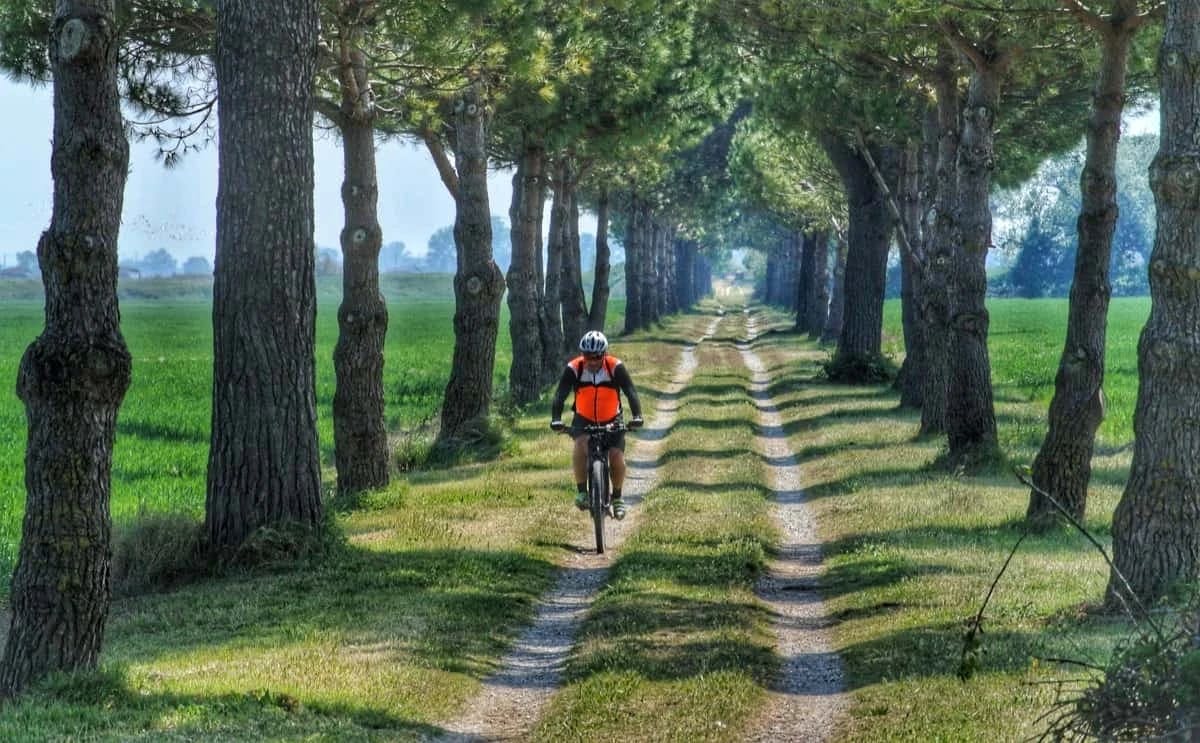 the-sea-route-from-bologna-to-ravenna-by-bike