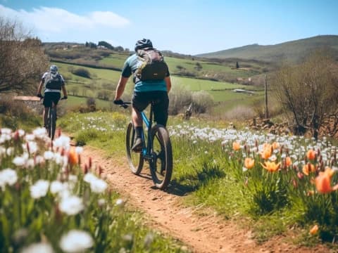 Il Cammino di Santiago in MTB il-cammino-di-santiago-in-mtb