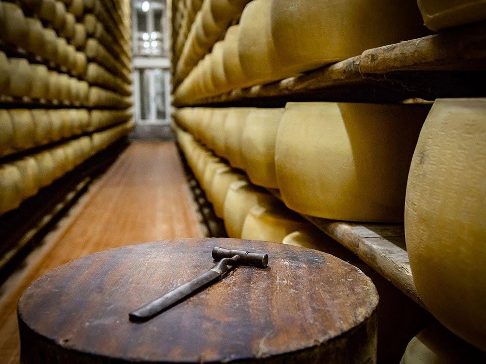 on-an-e-bike-to-discover-the-places-where-parmigiano-reggiano-is-born