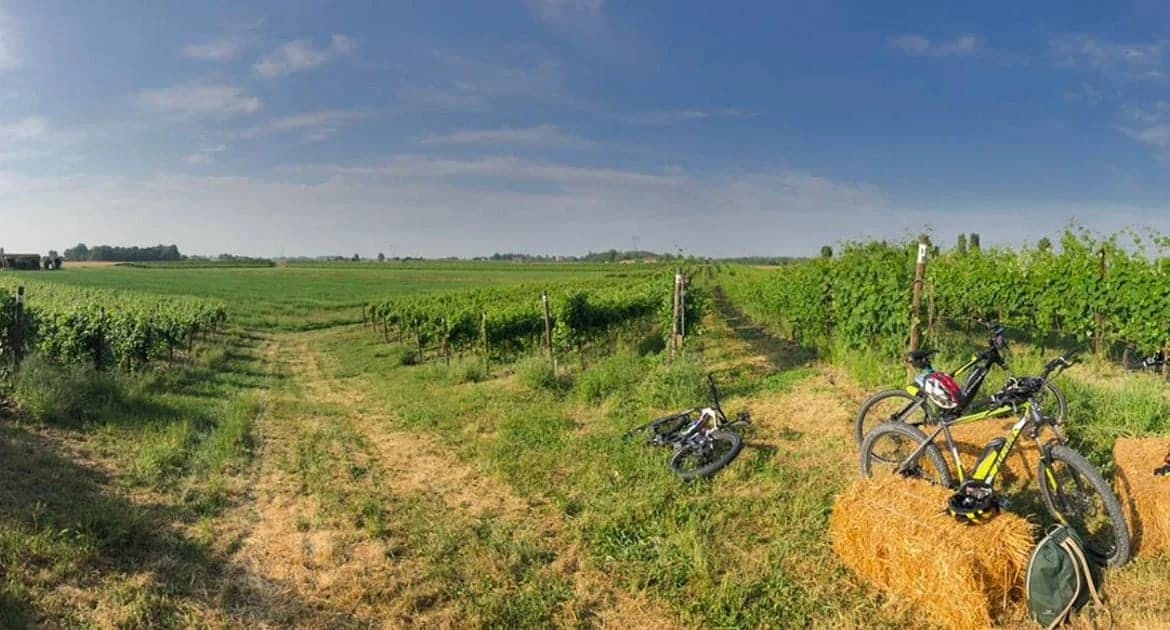 in-e-bike-al-tramonto-per-un-aperitivo-in-vigna